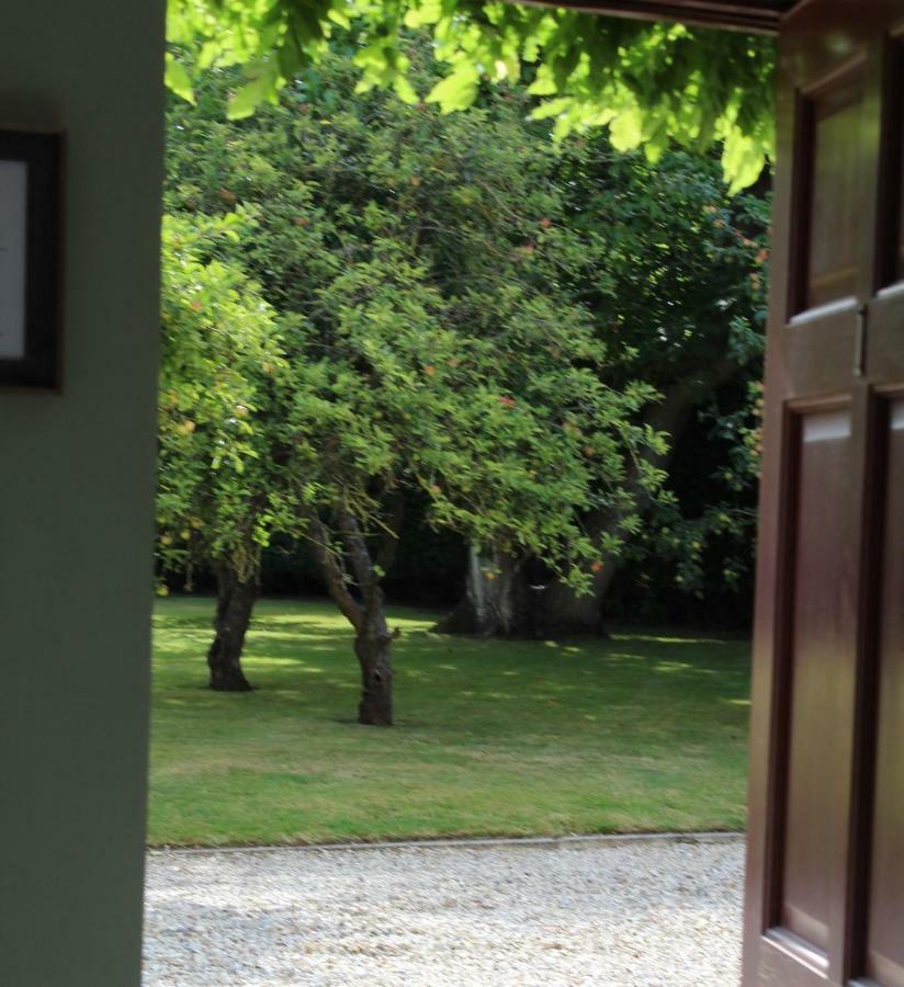 Hope Orchard Bed & Breakfast Cheltenham Exterior photo
