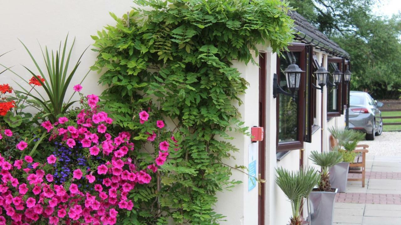 Hope Orchard Bed & Breakfast Cheltenham Exterior photo
